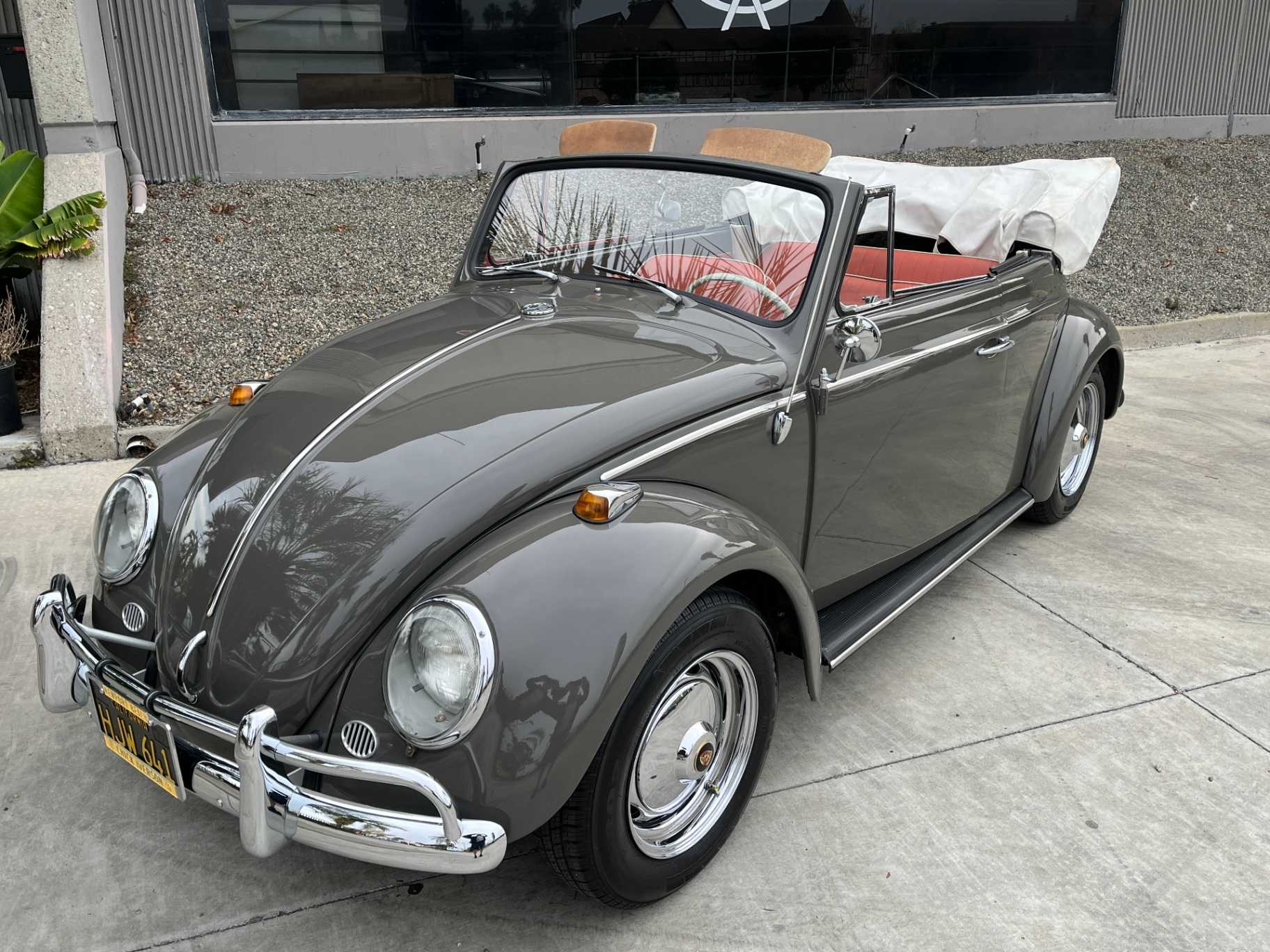 Volkswagen Beetle Image 6