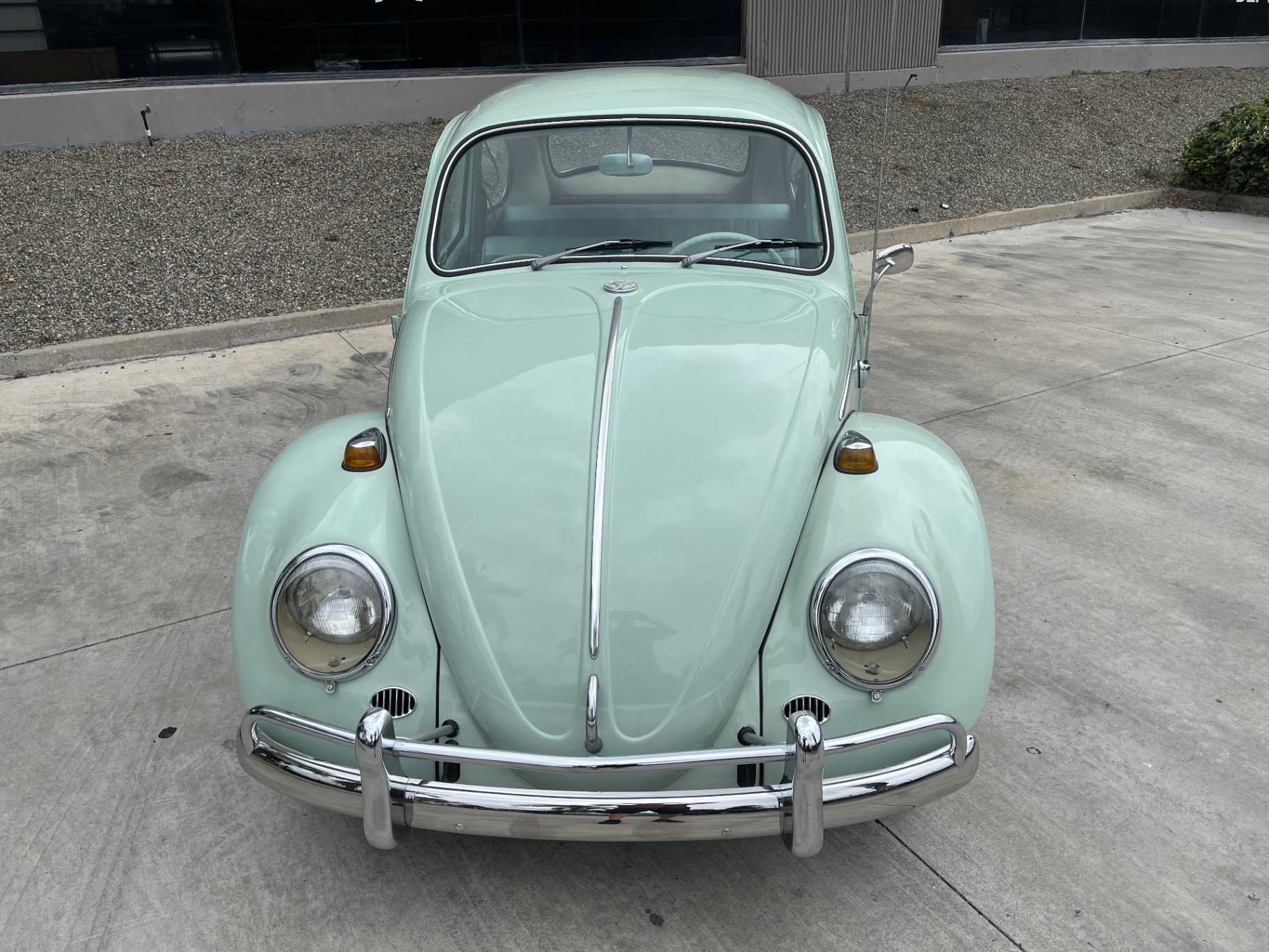 Volkswagen Beetle Image 10