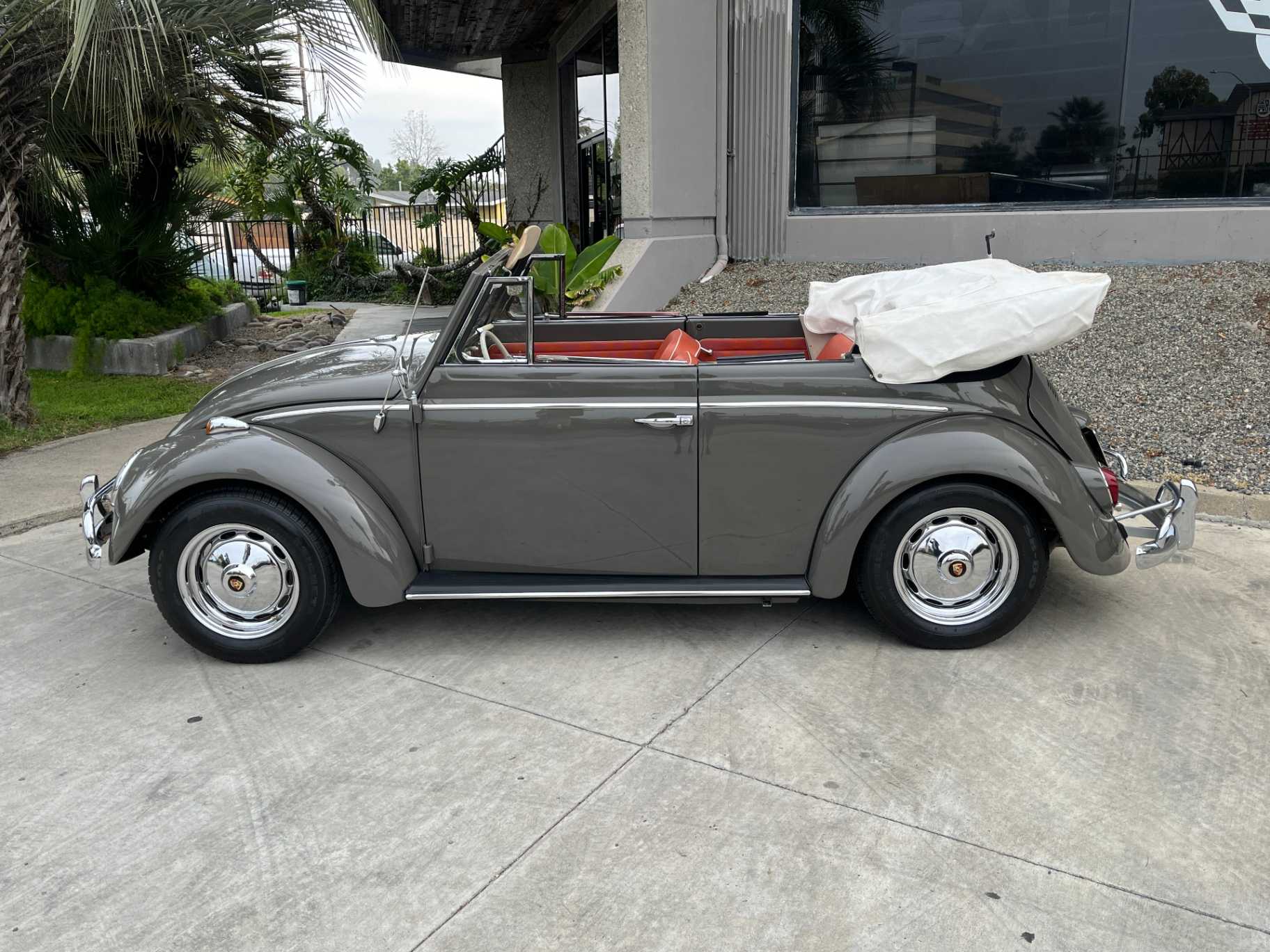 Volkswagen Beetle Image 7