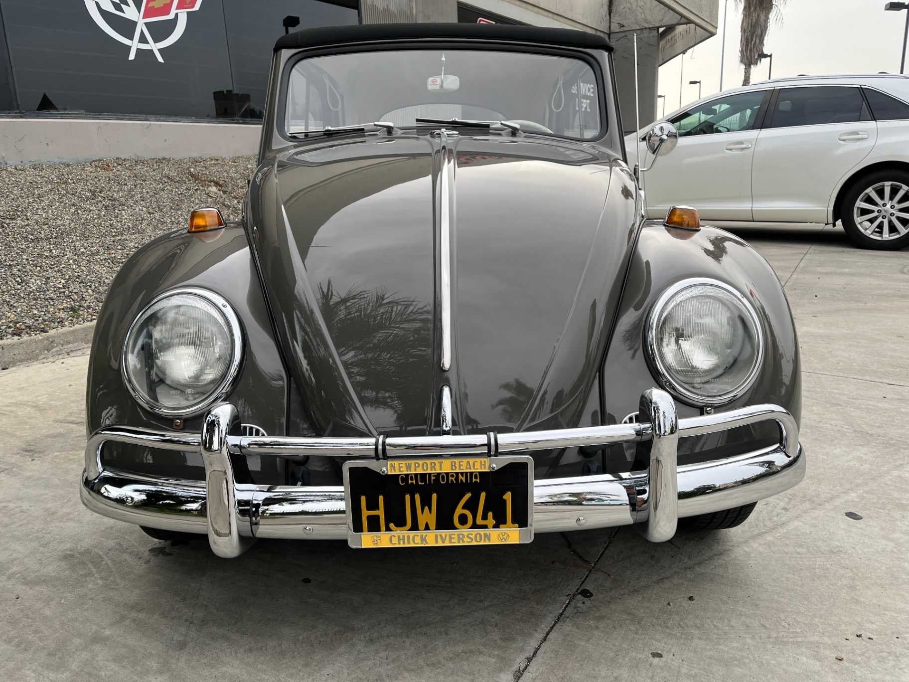 Volkswagen Beetle Image 2