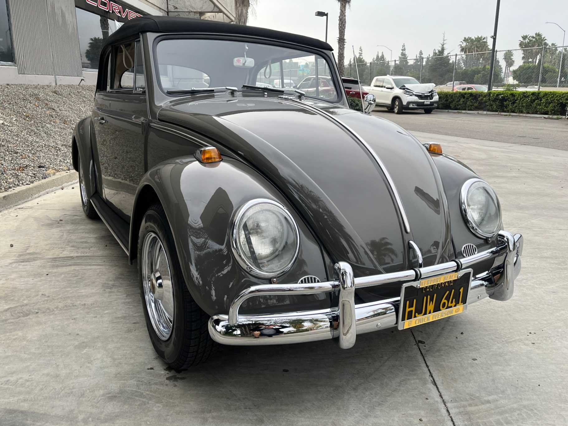 Volkswagen Beetle Image 4