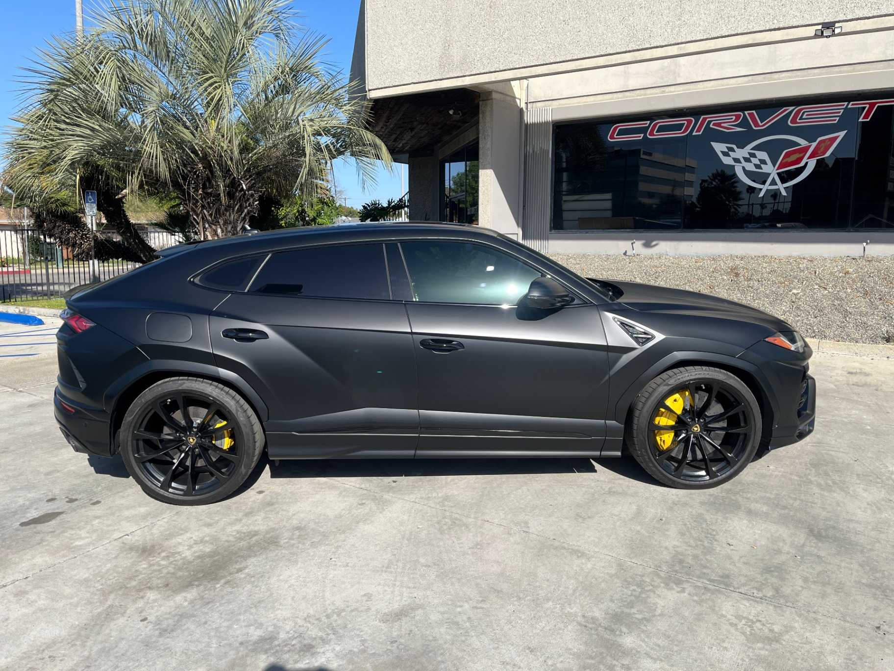 Lamborghini Urus Image 11